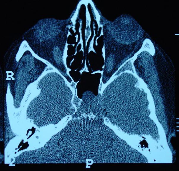 Fig1 - <div style=